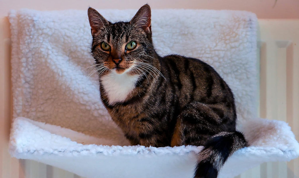 Lit chauffant en polaire pour chien ou chat