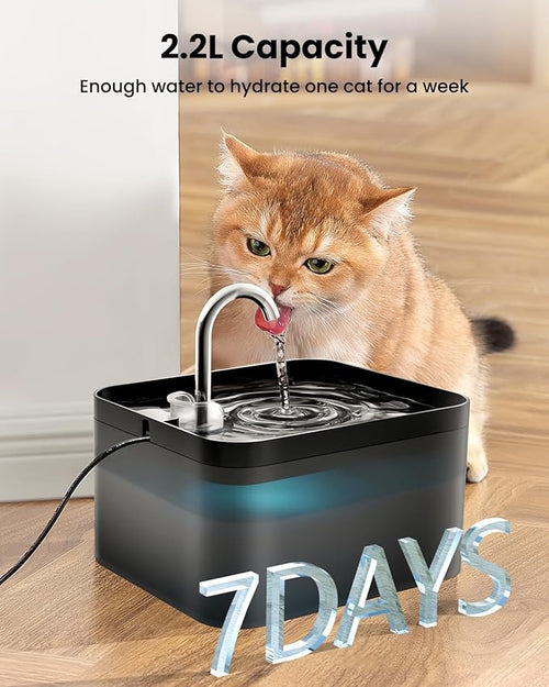 Fontaine a Eau 2,2L, Super Silencieuse, Filtre à Carbone Activé, Facile à Mettoyer, Distributeur Eau Chat avec LED, sans BPA, Convient à Plusieurs Animaux de Compagnie